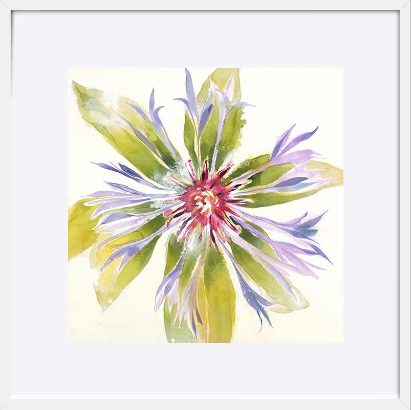 paper_frame