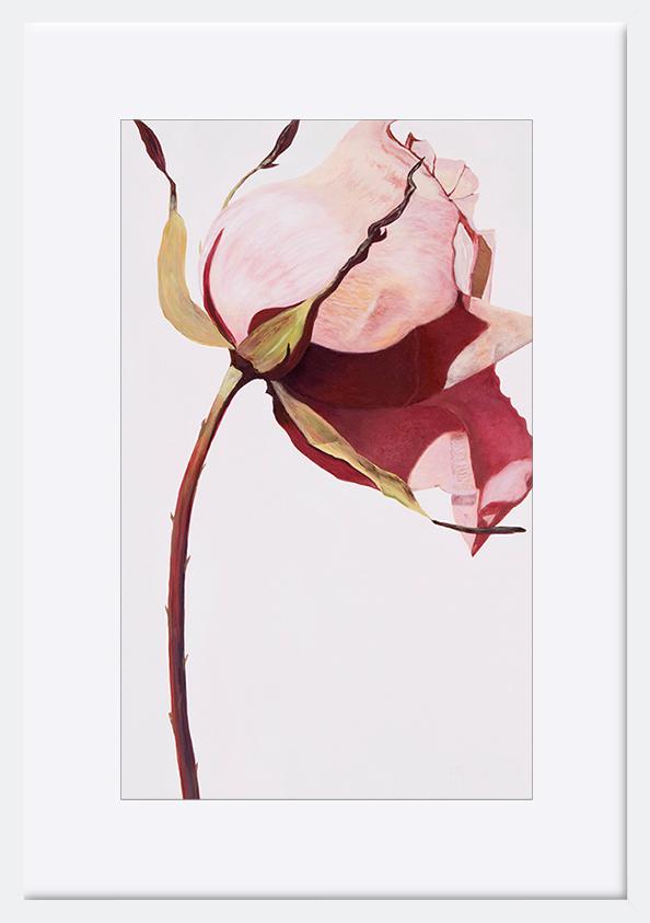 paper_frame