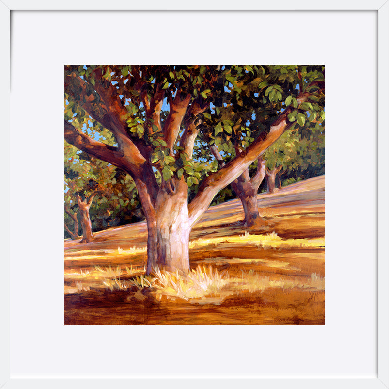 paper_frame