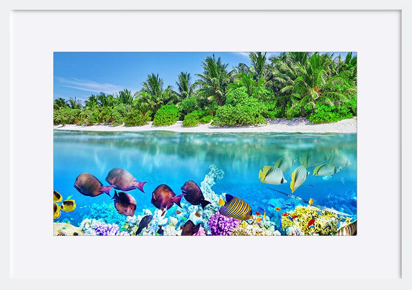 a17842819 Tropical Island And The Underwater World In The Maldives copy. Thoddoo Island - ArtFramed