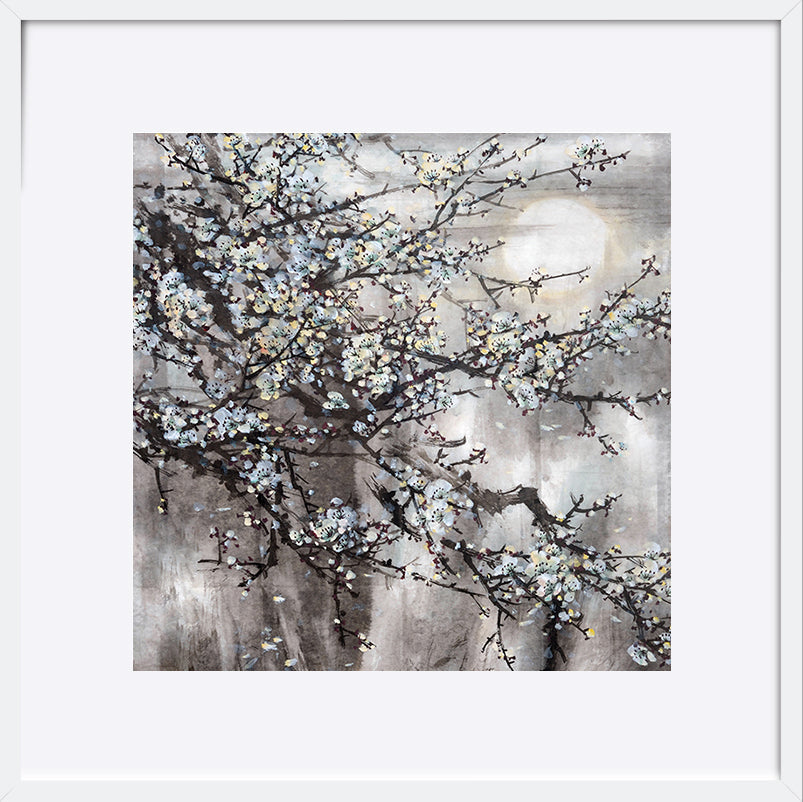 paper_frame