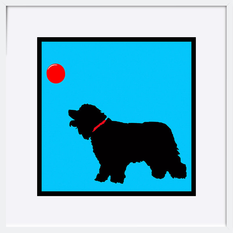 paper_frame