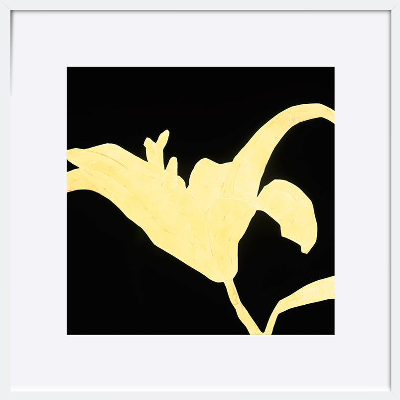 paper_frame
