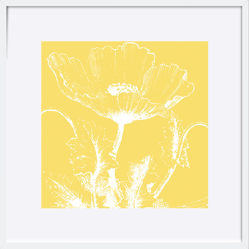 paper_frame