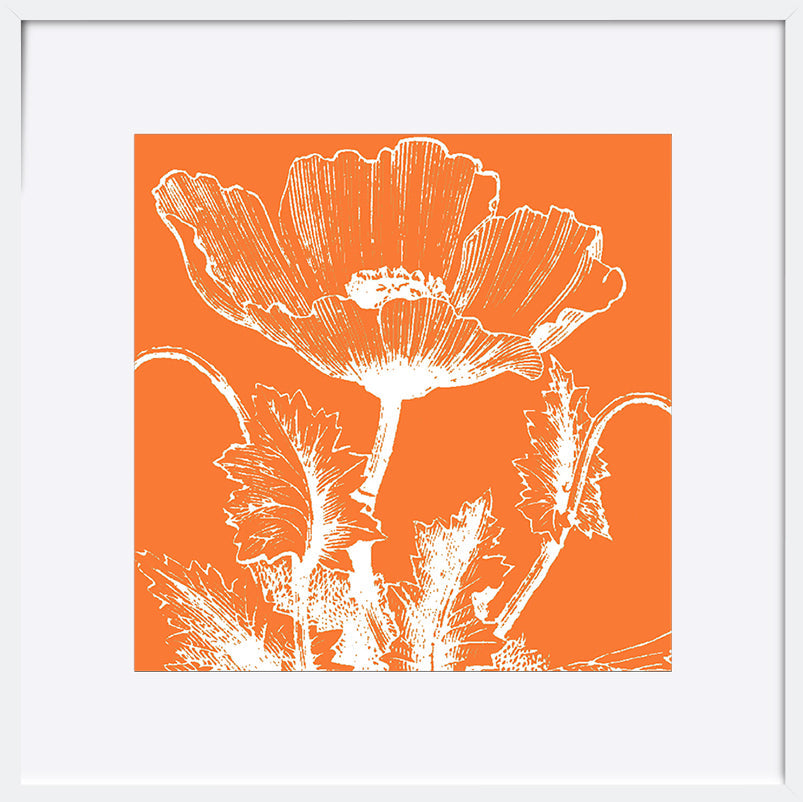 paper_frame