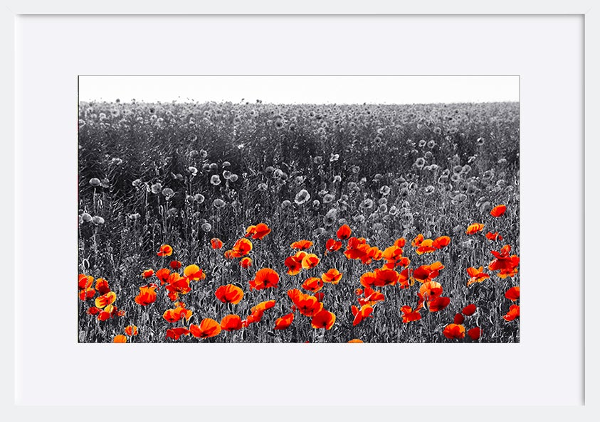 paper_frame