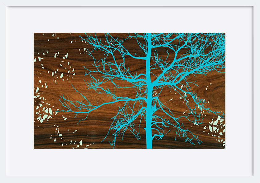 paper_frame