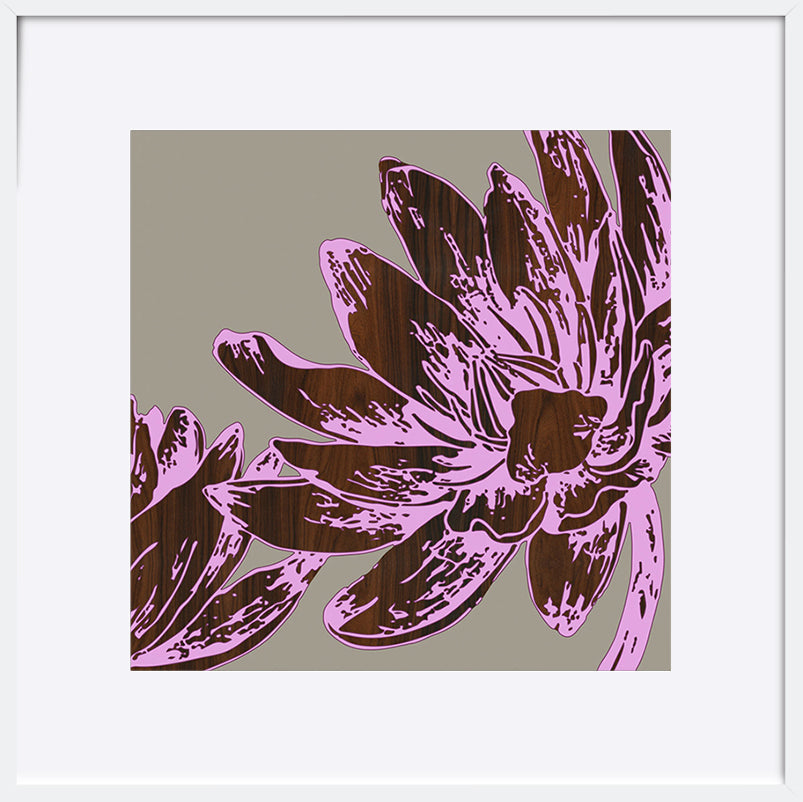 paper_frame