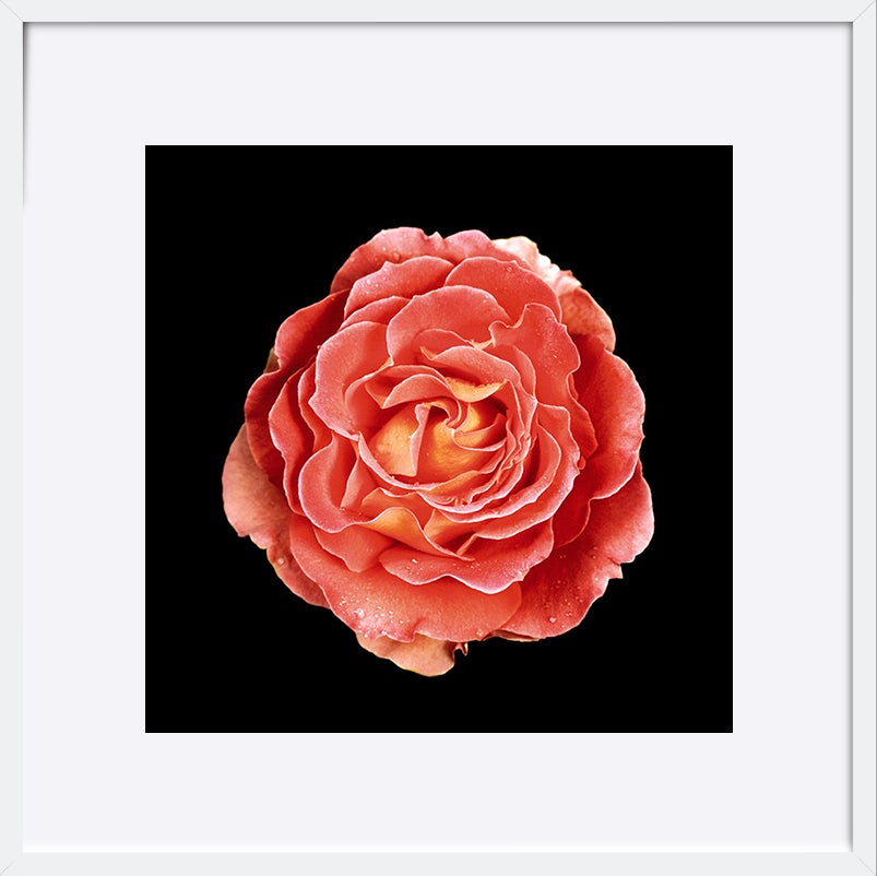 paper_frame