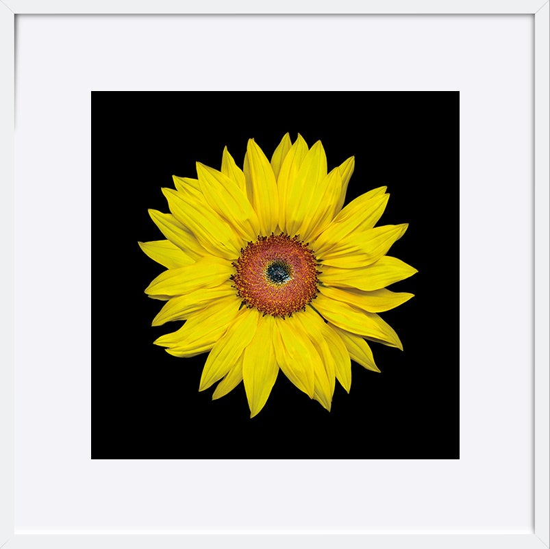 paper_frame