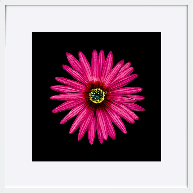 paper_frame
