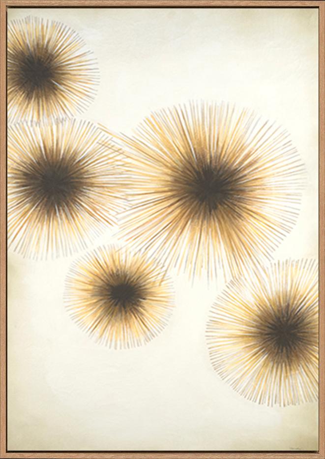 canvas_frame