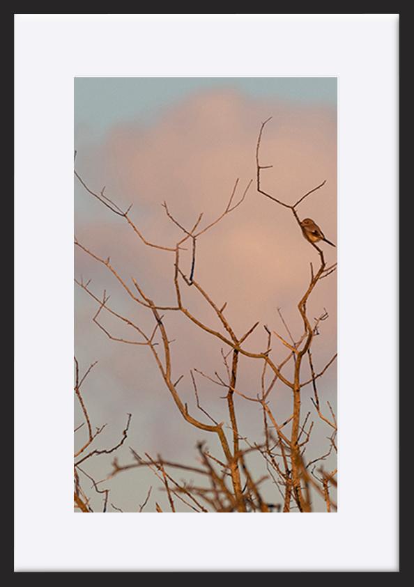 paper_frame