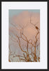 paper_frame