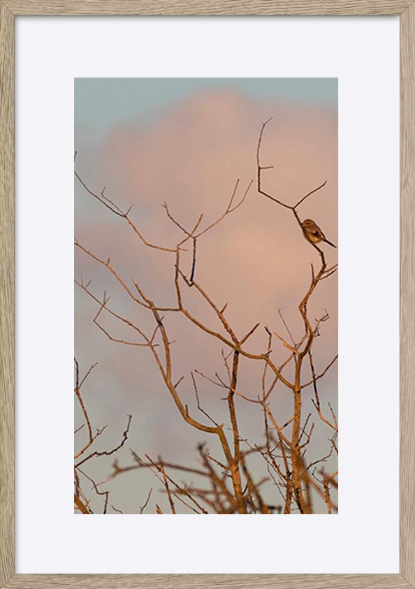 paper_frame