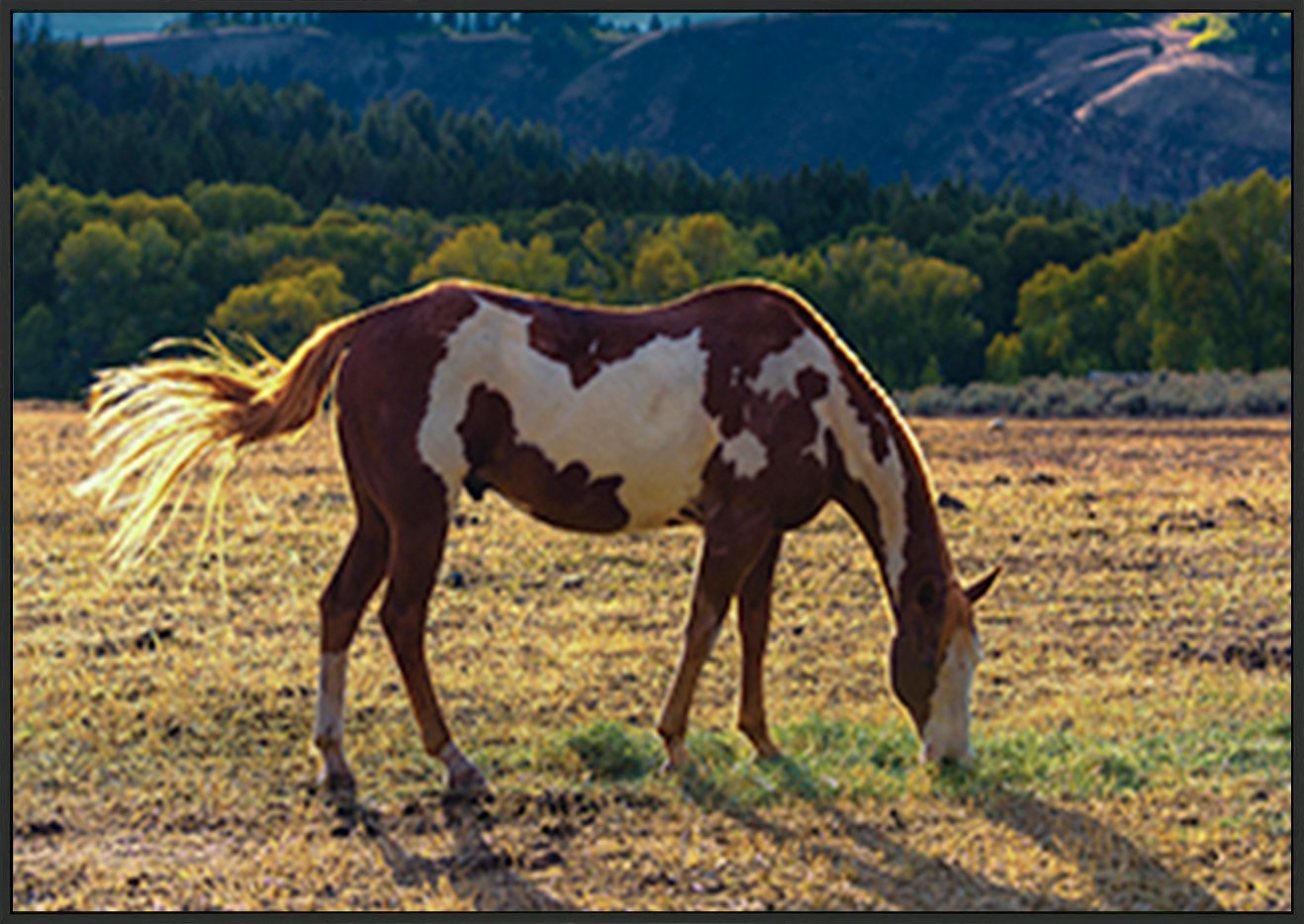 canvas_frame