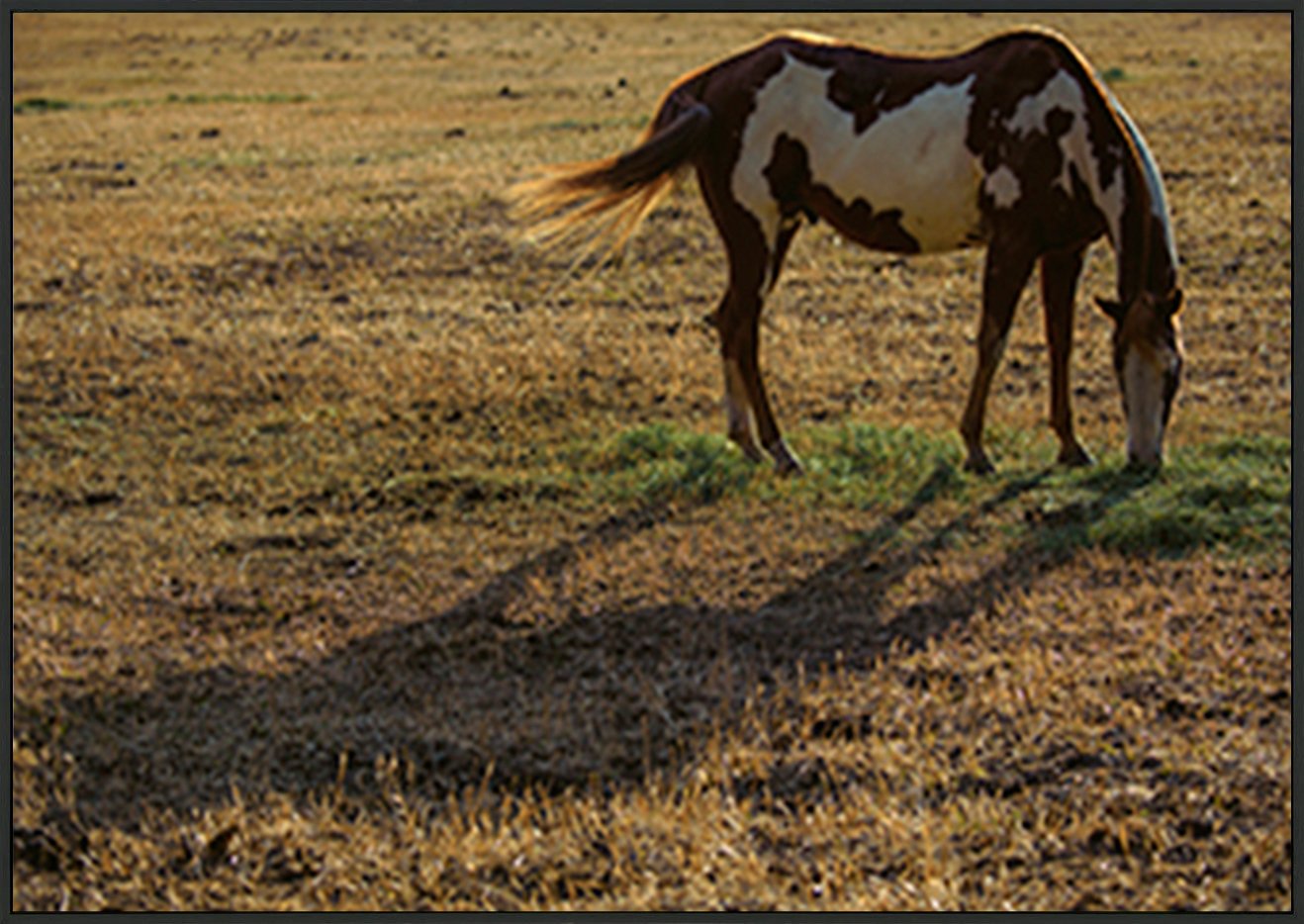 canvas_frame