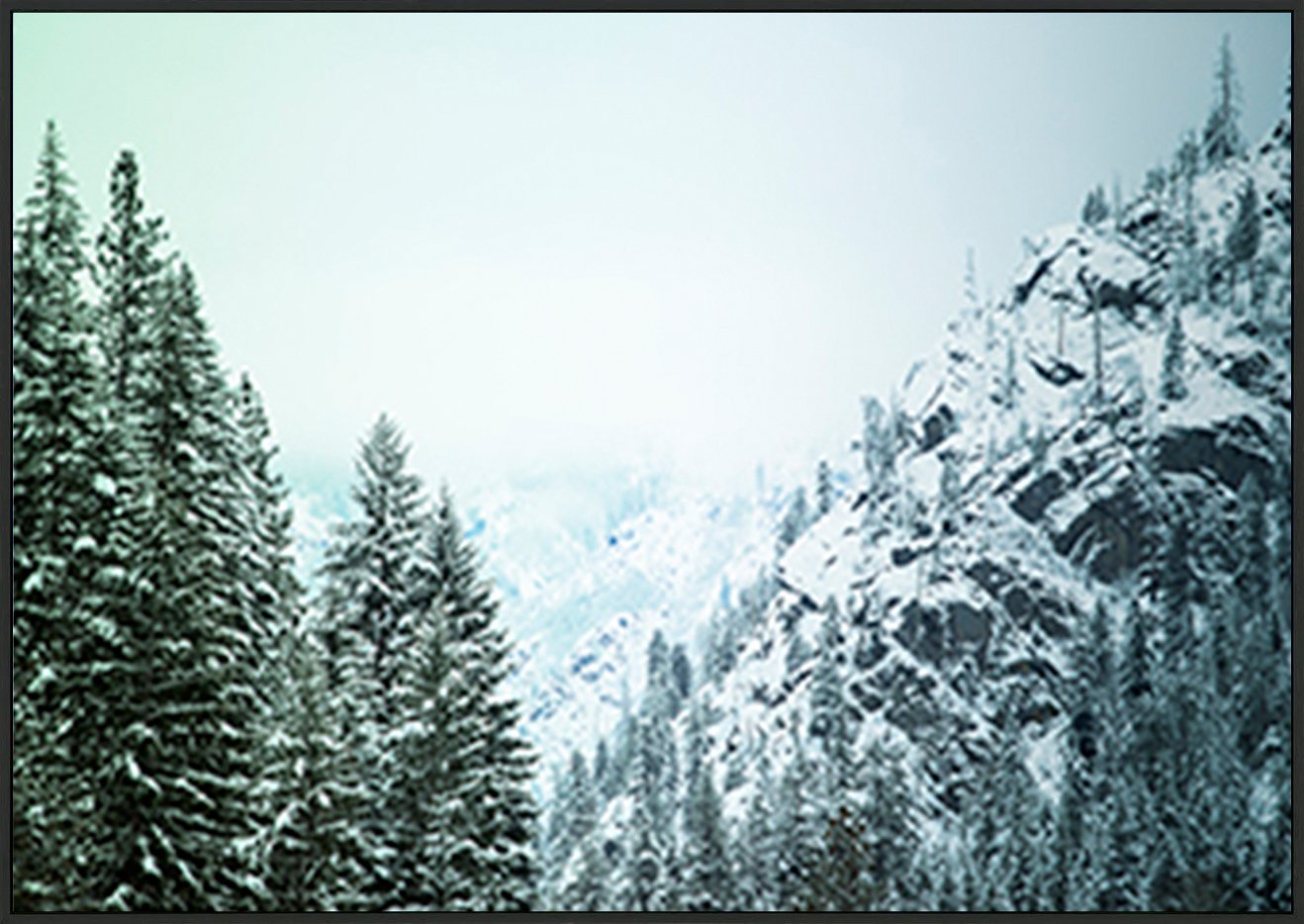 canvas_frame