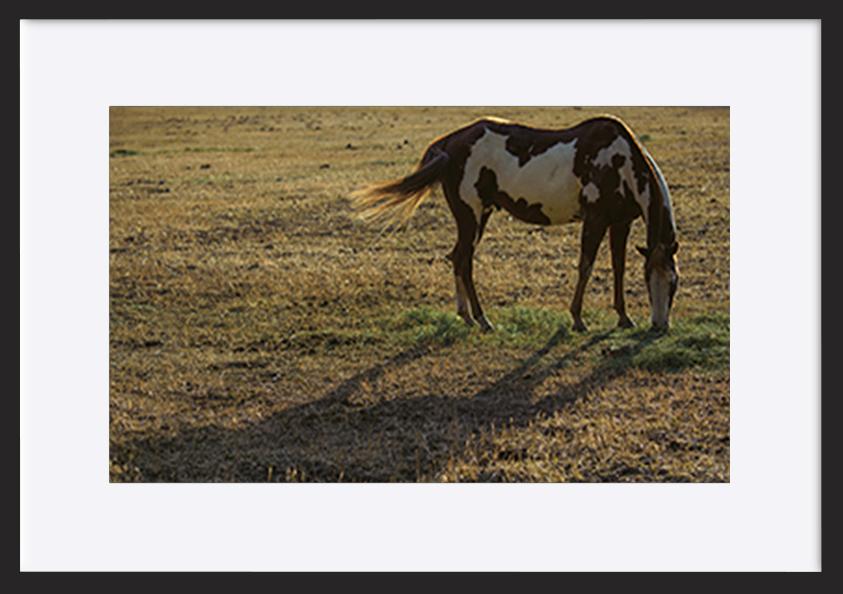 paper_frame