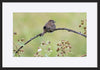 paper_frame
