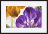 AL COLBAK114097 Open Arms II, by Color Bakery, available in multiple sizes - ArtFramed