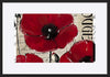 paper_frame