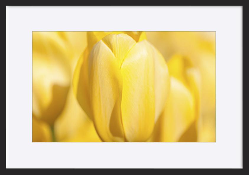 paper_frame
