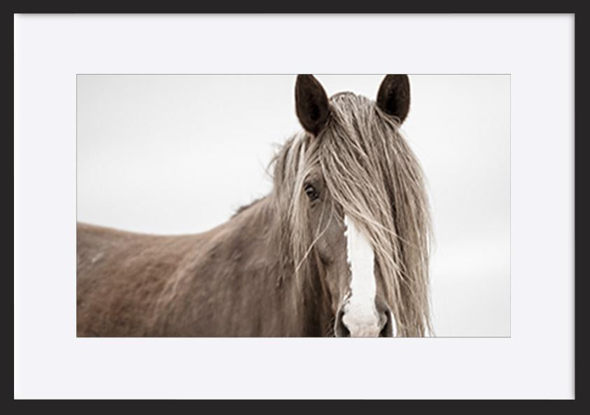 paper_frame