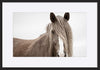 paper_frame
