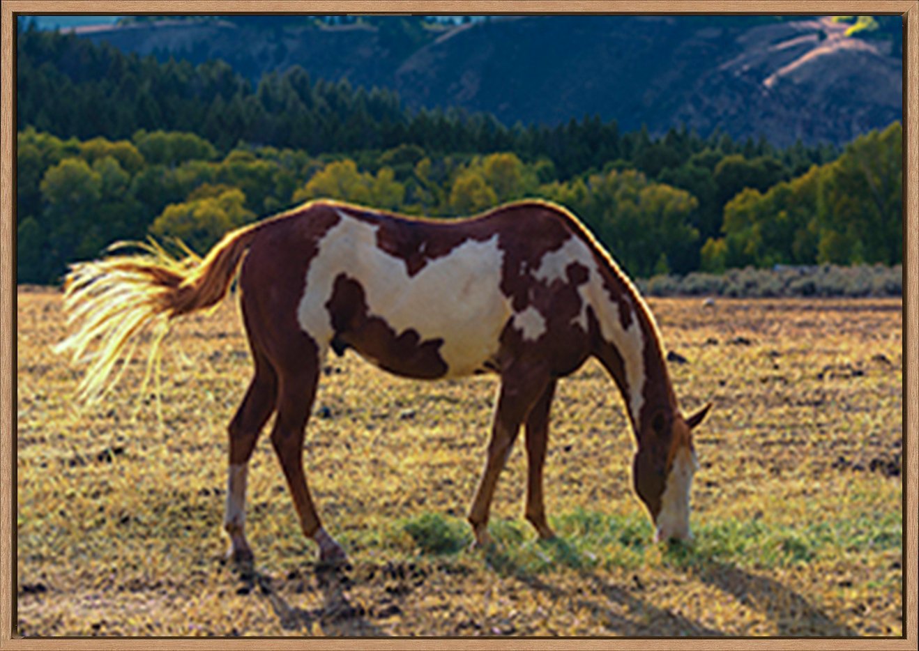 canvas_frame