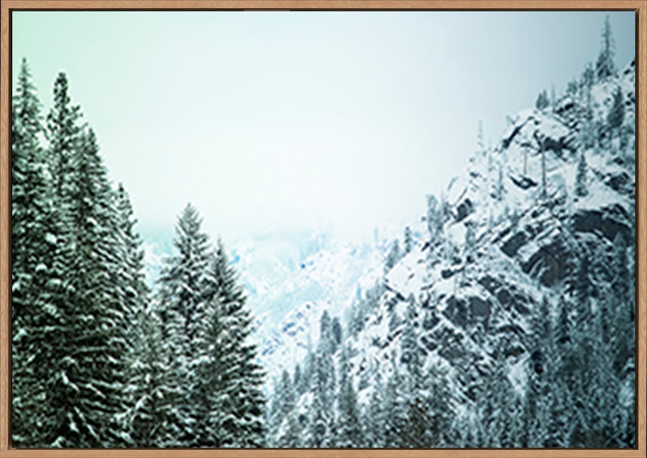 canvas_frame