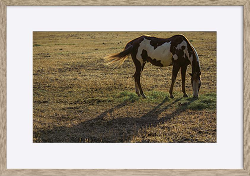 paper_frame