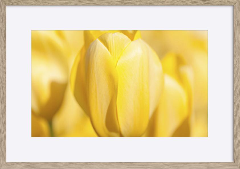 paper_frame