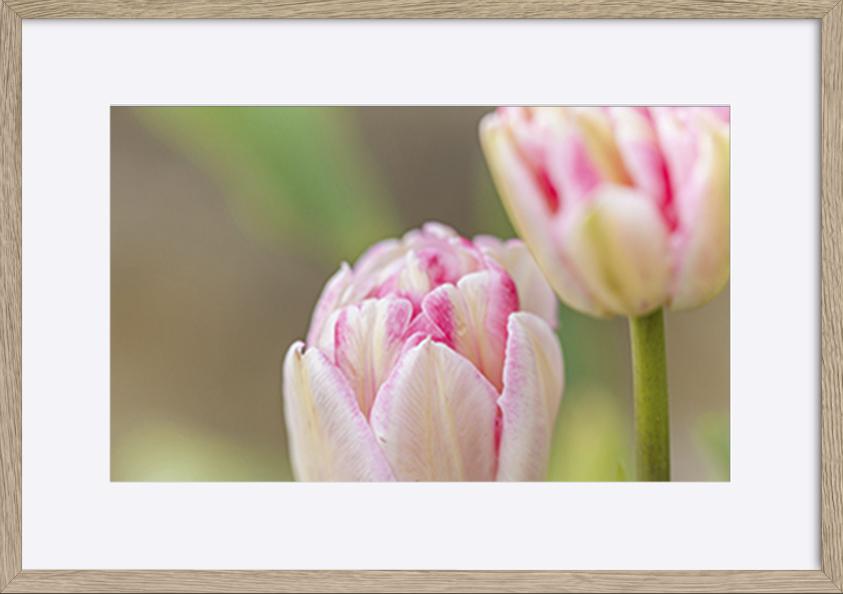 paper_frame