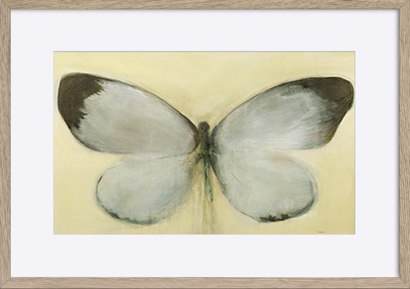 paper_frame