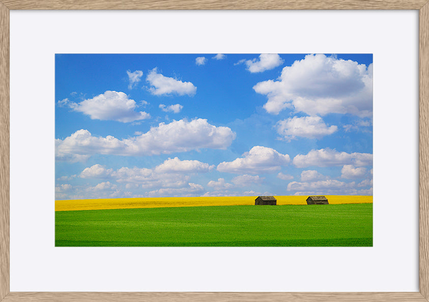 paper_frame