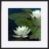 paper_frame