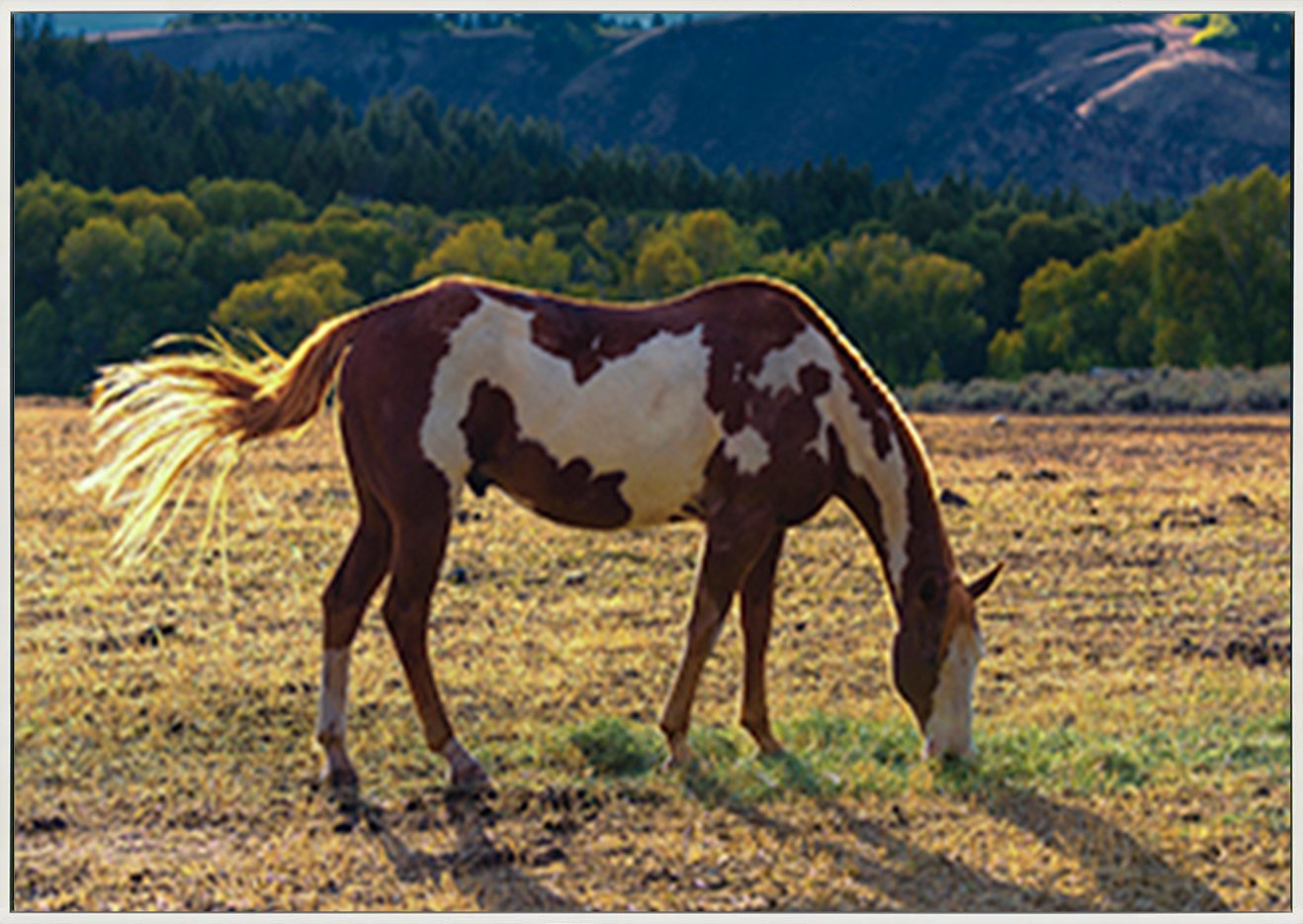 canvas_frame