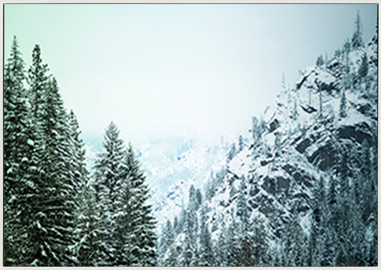 canvas_frame